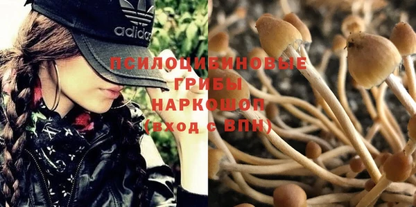 мет Аркадак