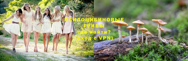 дживик Армянск