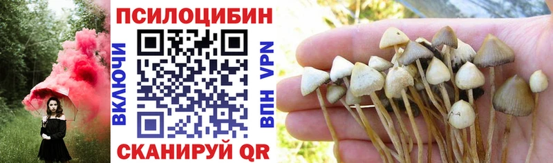ОМГ ОМГ рабочий сайт  Макарьев  Псилоцибиновые грибы мухоморы 
